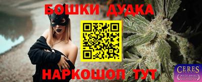 гашиш Кингисепп