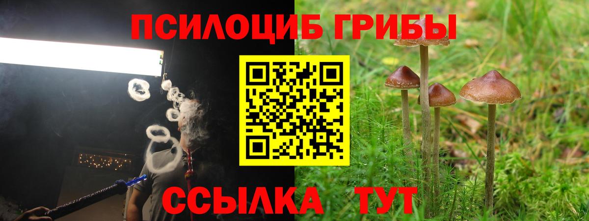 Кострома  Псилоцибиновые грибы ЛСД  Вход с VPN  купить наркотик  Галлюциногенные грибы GOLDEN TEACHER 